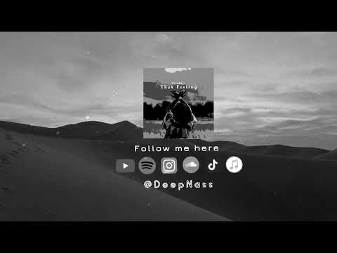 DeepNass - That Feeling ( Original Mix)