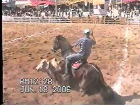 VAQUEJADA DE SÃO JOÃO DA PONTE MG 2006