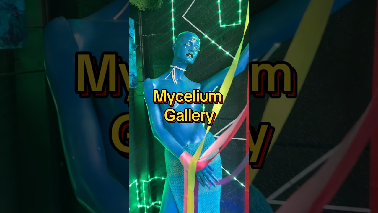 Mycelium Gallery presents Mycelium sessions with @exmaxhina @myceliumgallery #oklahomacity #okc