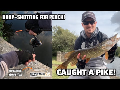 DROPSHOT FISHING FOR PERCH! But I Caught a PIKE! 