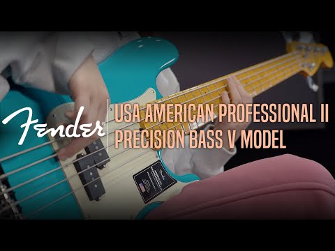 Fender USA American Pro II Precision Bass V Model Demo - ‘Indifferent’ by Bassist 한지원 (Jiwon Han)