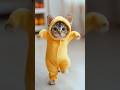 Motor Dancing Cat