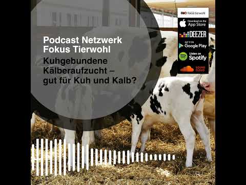 , title : 'Kuhgebundene Kälberaufzucht - gut für Kuh und Kalb?'