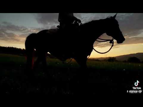 Robert Ffrench - Everyday of My Life