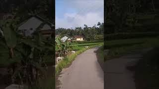 Download lagu story wa ariel noah dilema besar mp3 Download lagu story wa ariel noah dilema besar mp3