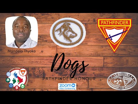 Dogs Pathfinder Honour e Honour