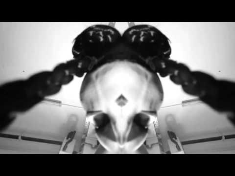 Marko Vukovic - Satek