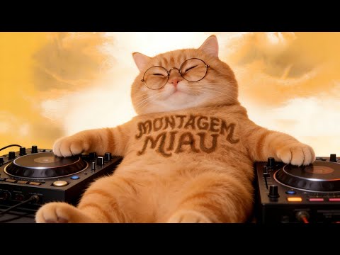 Ay mi Gatito, Miau Miau | MONTAGEM MIAU（Slowed）Letra | Music Video #catlovers #lyrics #fyp