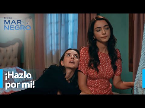 Preparations to Reconcile Asiye and Mustafa - Black Sea Chapter 185 | Fugitive