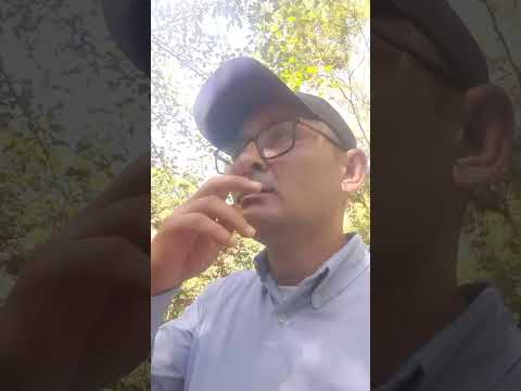 El Lugar donde Nací en el año 1984