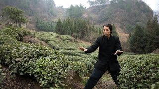 preview picture of video 'Wudang Tai Chi & The Green Tea Field'