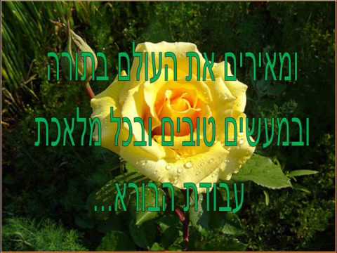 מידד טסה וזכיני