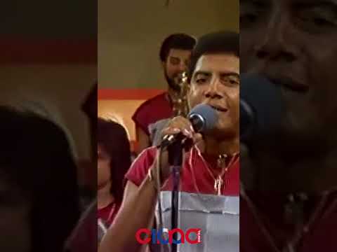 Las dominicanas, Anibal Bravo años 80s #tropical #merengue #cima100digital #tendencia #shortsvideo