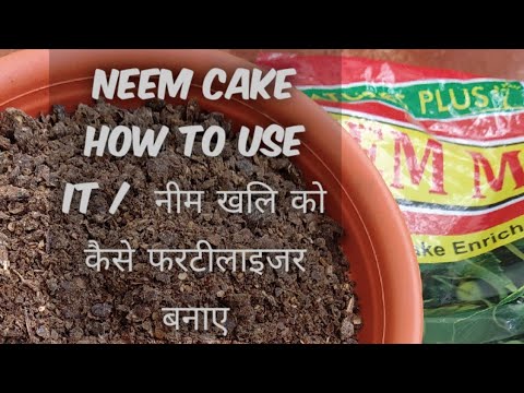 YouTube video about: How to use neem cake for potted plants?