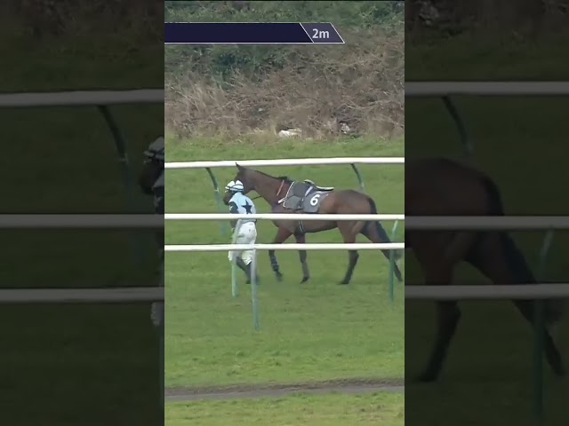 Thumbnail for Post ID: V8xDdg6GFdI