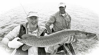 Giant Pike on a Fly