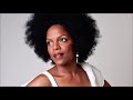 Nnenna Freelon - The Lady Sings The Blues
