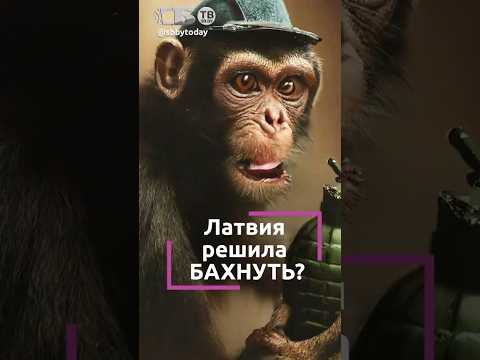 А так можно было? Латвия разрешила взрывы на границе с Беларусью.Здравствуй, СОЛНЦЕПЕК