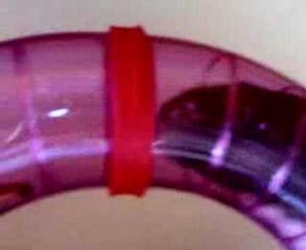 Le evoluzioni di Erminio