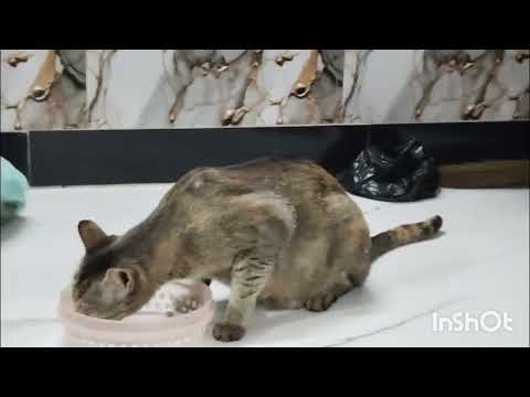 Ab mano nahi hai to ye sab a rahe hai