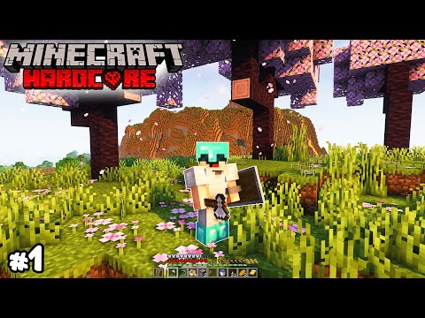 Tekoa - New HARDCORE adventure on Minecraft 1.20 😍 - Minecraft Survival ❤️ 1.20 Episode 1