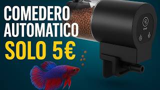 Probé el COMEDERO AUTOMÁTICO de acuario más BARATO del mundo 😱 ¿Funciona o es una trampa?