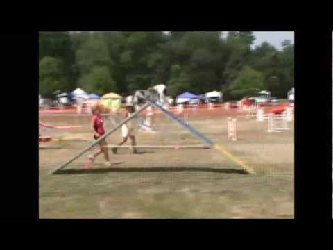 Pippin Standard 7-23-11