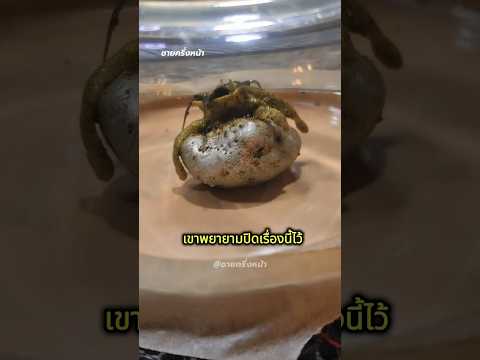 เขาเก็บอะไรไว้ในตู้แช่แข็ง?🤔