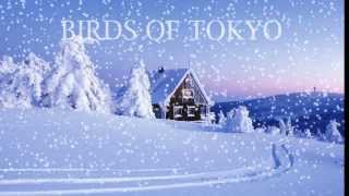 Boy by Birds of Tokyo Lyrics