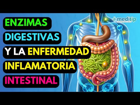 Deja de Ignorar la Inflamación: Las Enzimas Digestivas son el Eslabón Perdido