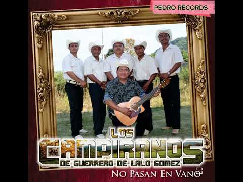 Los Campiranos de Lalo Gómez : Tlapehuala En vivo Desde Tlapa de Comonfort