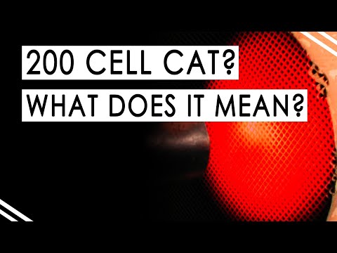 YouTube video about: Will 200 cell cat pass emissions?