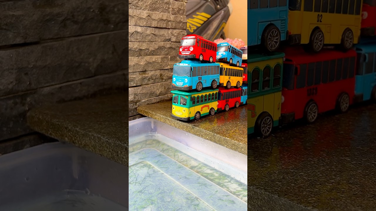 Tayo the Little Bus #toys #tayo #shorts