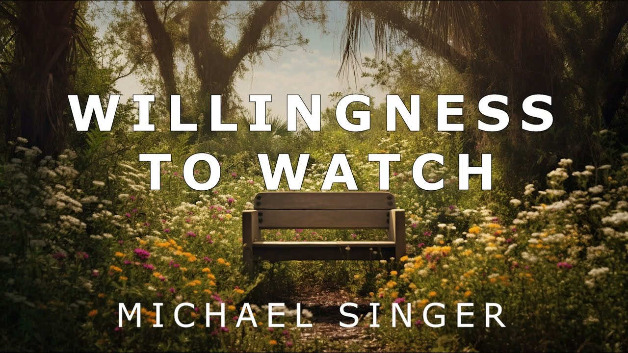 Michael Singer - The Willingness to Watch