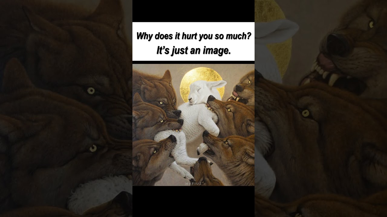 ✝️ #jesus #bible #sheep #god