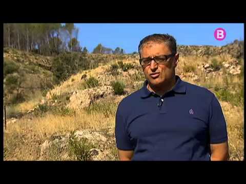 Es compleix un any de l'incendi a Andratx