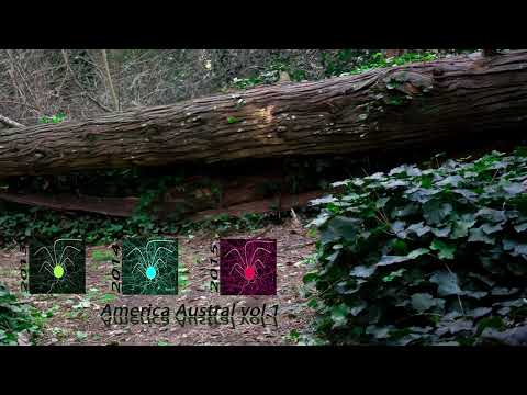 Brocul - Huraño - America Austral vol.1 ·2013·