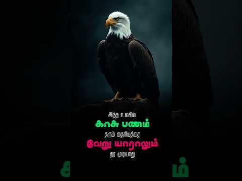 #vizhithiru #dailyquotes #motivationalquotes #jailerbgm #anirudh