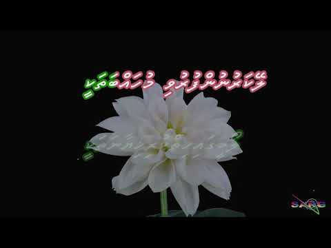 Eki rey rey dhin dhathi hiyaaley mee   Sangu Karaoke