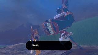 [ゆっくり実況]　Breath of the Tiger　その90
