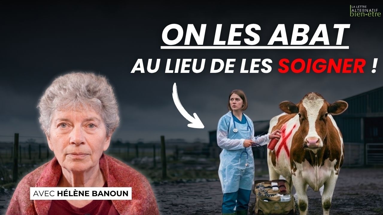 Pourquoi abat-on des vaches pour une maladie bénigne ? Hélène Banoun