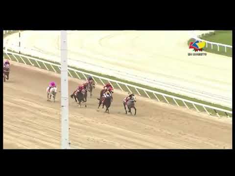 Copa Invitacional de Importados del Caribe 2022