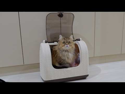 YouTube 썸네일