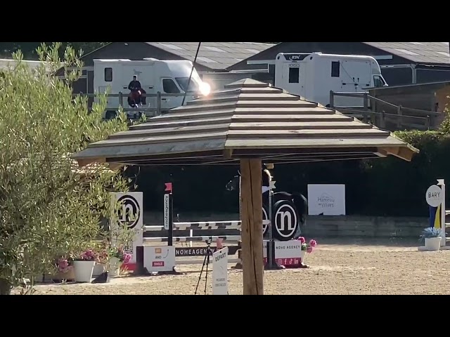 &Agrave; vendre hongre 11ans exp&eacute;rience Amateur 1