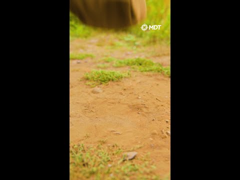 It's been 1 year since the launch of the MDT CRBN 😎