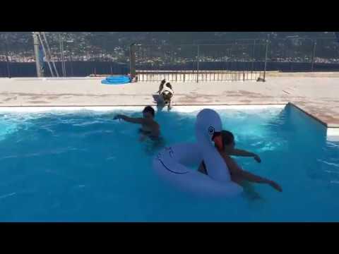 Tag 1 am Gardasee//Loonis Journey