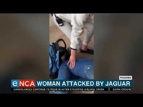 Woman attacked by jaguar