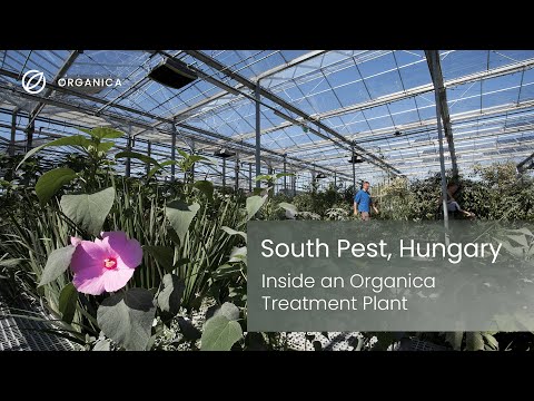 Inside an Organica treatment plant: South Pest, Hungary