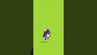 【がんばる！ぽミオちゃん！】『スキップ＆ジャンプ』 #ぽミオちゃん #大神ミオ