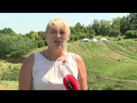 Valjevska Kamenica, Snezana Zugic pomocnica ministra za omladinu, zadovoljni smo projektom